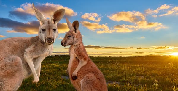 Travel insurance for Australia