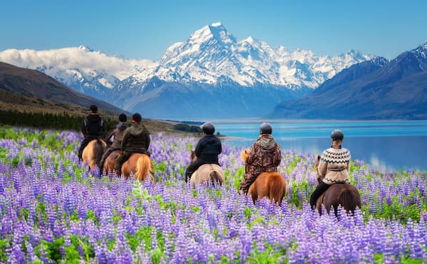 Travel Insurance for New Zealand