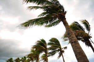 Travel Insurance Advisory: Hurricanes and Tropical Storms Disrupt Travel Across the Southeast U.S. and Caribbean