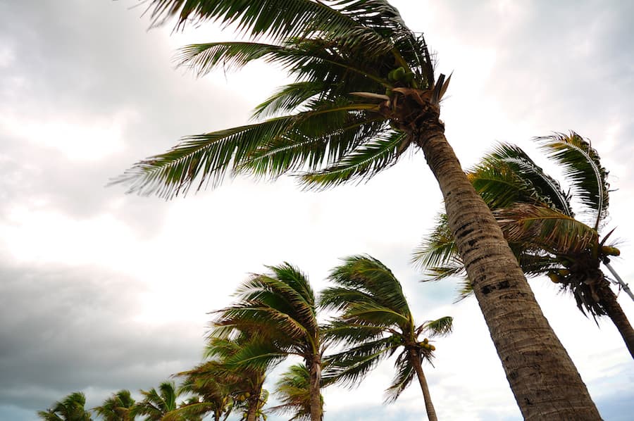 Hurricane Travel Insurance