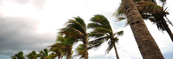 Why It Is Important to Purchase Travel Insurance Before A Hurricane Is Named
