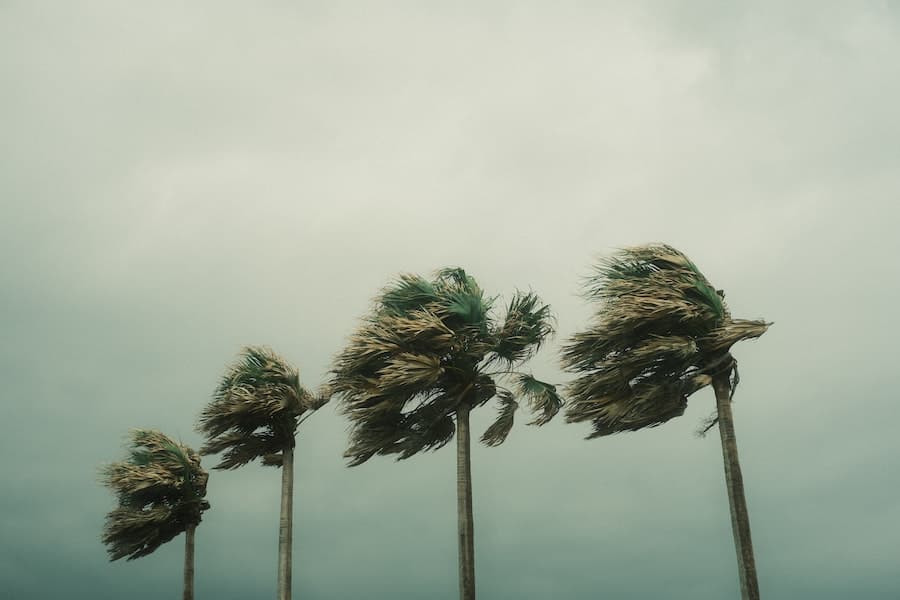 Travel Insurance Advisory: Hurricane Season 2023