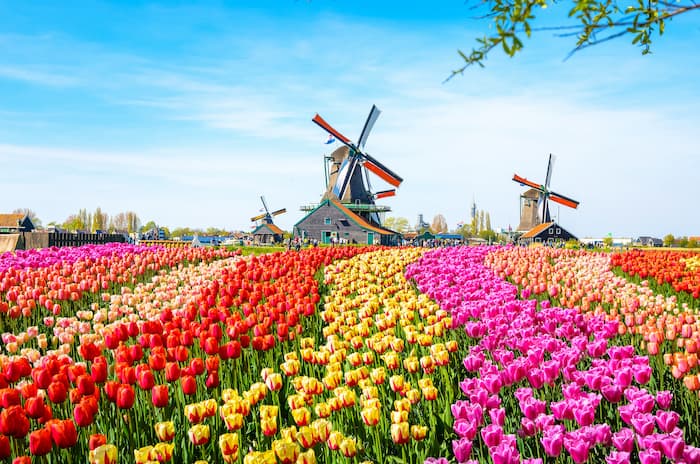 Travel Insurance for the Netherlands